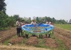 Polsek Jatisari Kembali Tanam Jagung Hibrida Kuartal II 2026 ‎