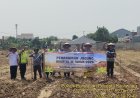 Polsek Purwasari Polresta Karawang Manfaatkan Lahan 2.000 Meter untuk Program Ketahanan Pangan