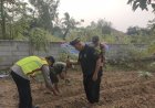 Dukung Program Ketahanan Pangan Personil Polsek Tegalwaru Gelar Penanaman Jagung Serentak Kuartal III Polda Jabar 2026
