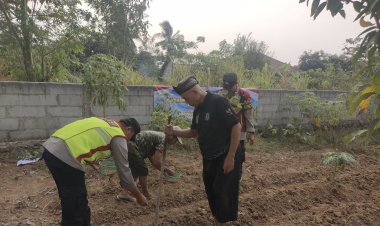 Dukung Program Ketahanan Pangan Personil Polsek Tegalwaru Gelar Penanaman Jagung Serentak Kuartal III Polda Jabar 2026