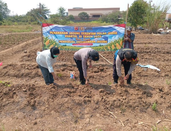 Polsek Karawang Polresta Karawang Melaksanakan Kegiatan Penanaman Kagung Hibrida Kuartal III