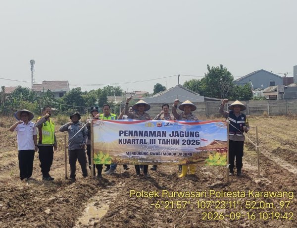 Polsek Purwasari Polresta Karawang Manfaatkan Lahan 2.000 Meter untuk Program Ketahanan Pangan
